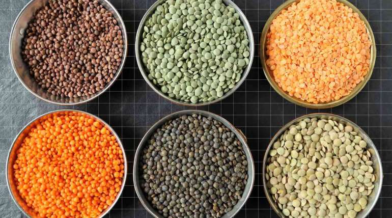 Importing Lentils from Russia to UAE: A Gateway to Premium Quality Lentils Importing Lentils from Russia to UAE: A Gateway to Premium Quality Lentils