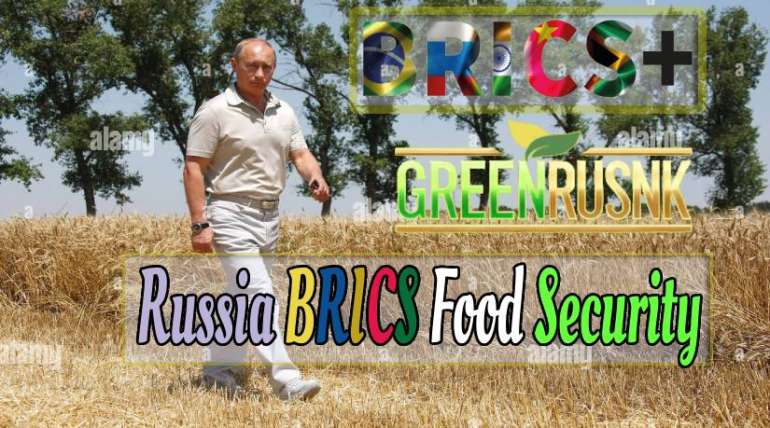 Russia BRICS Food Security