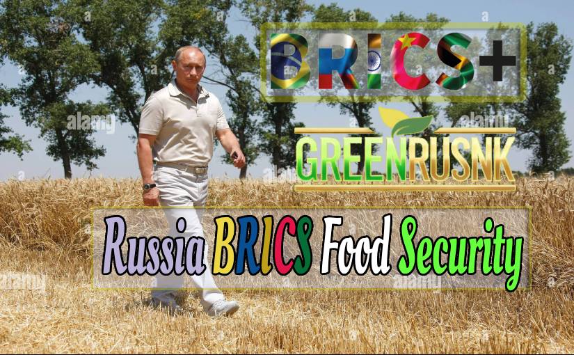 Russia BRICS Food Security
