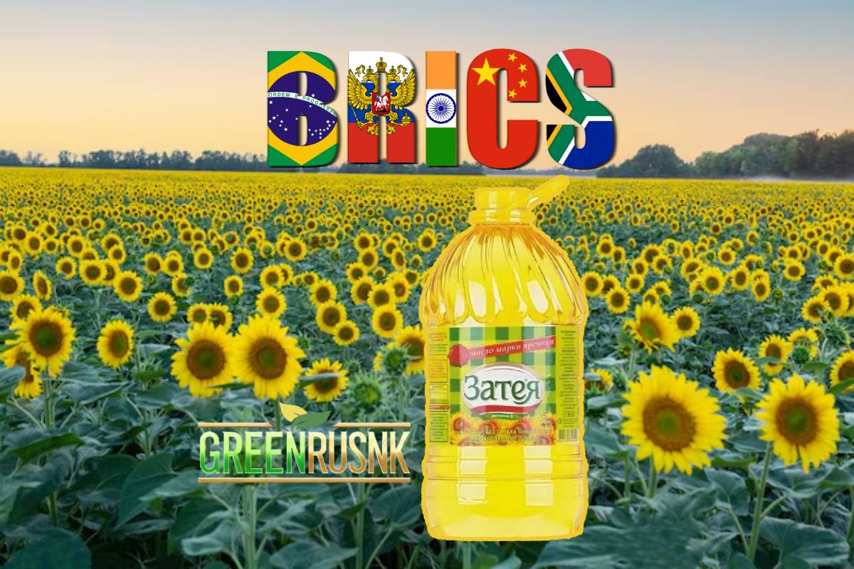 Exportation de graines de tournesol russes vers les BRICS », « Importation d'huile de tournesol de Russie », « Commerce de produits agricoles des BRICS Tournesols russes